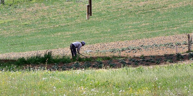 Tuzlanski poljoprivrednici pozvani da prijave plan proizvodnje za ostvarivanje federalnih podrški