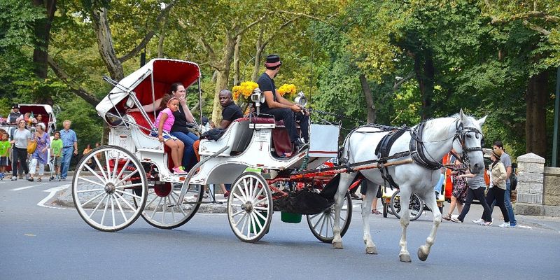 New York planira zabranu vožnje kočijama kroz Central Park do 2028. godine