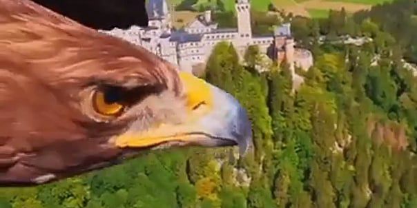 Fascinantan let orla s kamerom iznad bavarskog dvorca Neuschwanstein