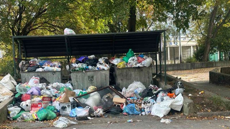 Problem sa odvozom otpada u ulici Put Famosa: Građani upozoravaju na nagomilano smeće i pojavu glodara