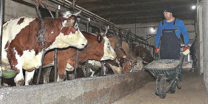 Mljekari u BiH najavljuju blokadu granica i obustavu uvoza zbog krize u domaćoj proizvodnji