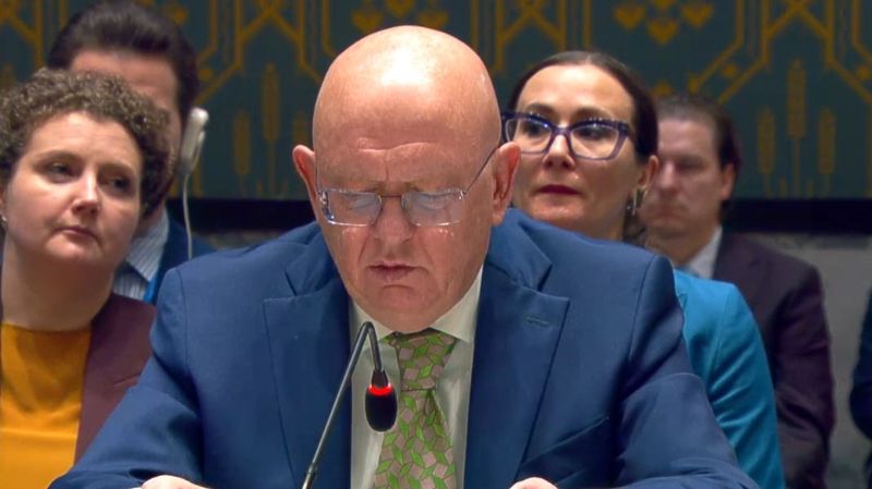 Nebenzja označio BiH kao protektorat: Osporio legitimitet zamjenika visokog predstavnika
