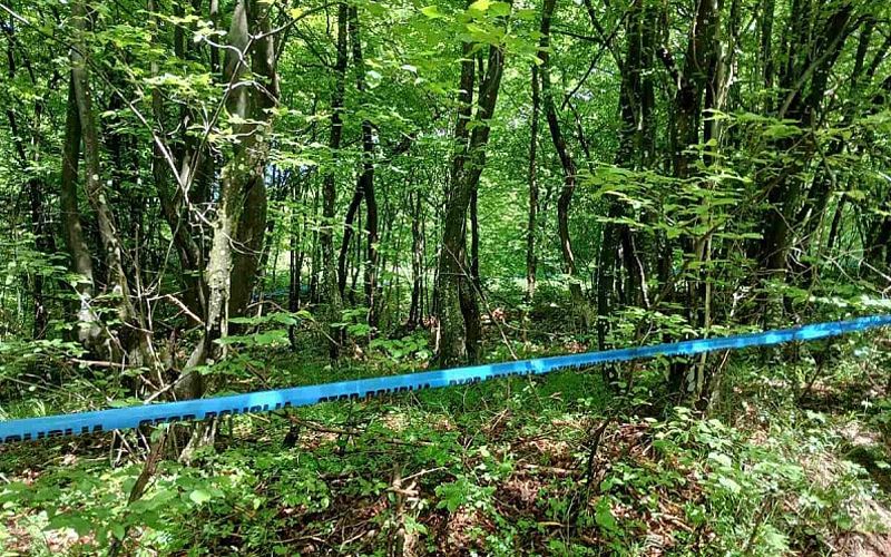 Tragedija na radu kod Živinica: U šumskom odjelu stradao 51-godišnjak