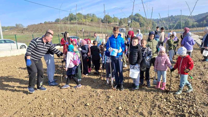 Novo mezarje u Pribavi kod Gračanice: Uspješna realizacija trogodišnje inicijative i ekološka akcija