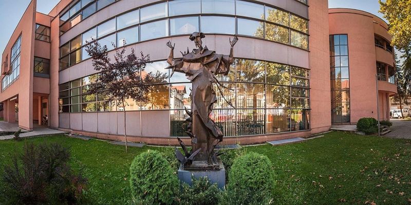 Udruženje "Zemlja djece u BiH": Učenik koji je bio žrtva nasilja u Tuzli mora promijeniti školu