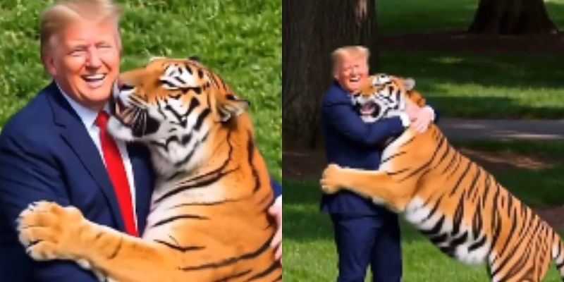 Piers Morgan osudio potez Donalda Trumpa: Korištenje AI snimka smrtonosnog napada tigra ocijenjeno kao neukusno