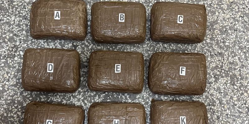 Policijska akcija u Zenici: Zaplijenjeno skoro 12 kilograma narkotika i uhapšeno jedno lice