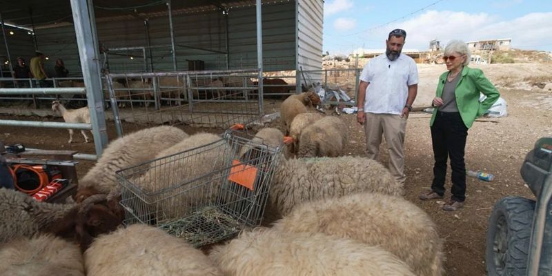 Strategija izraelskih doseljenika na Zapadnoj obali: Korištenje ispaše za potiskivanje palestinskog stanovništva