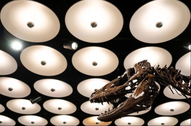 Skelet nanotiranusa prodat na aukciji u New Yorku za rekordna 47,3 miliona dolara