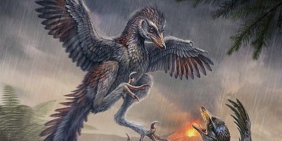Fascinantno paleontološko otkriće u Kini: Pronađena neleteća praistorijska ptica sa zubima i kandžom dinosaura