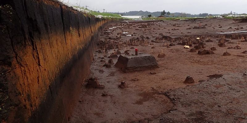 Drevna vulkanska erupcija u Japanu izazvala pad broja stanovnika u jednim, a demografski rast u drugim regijama