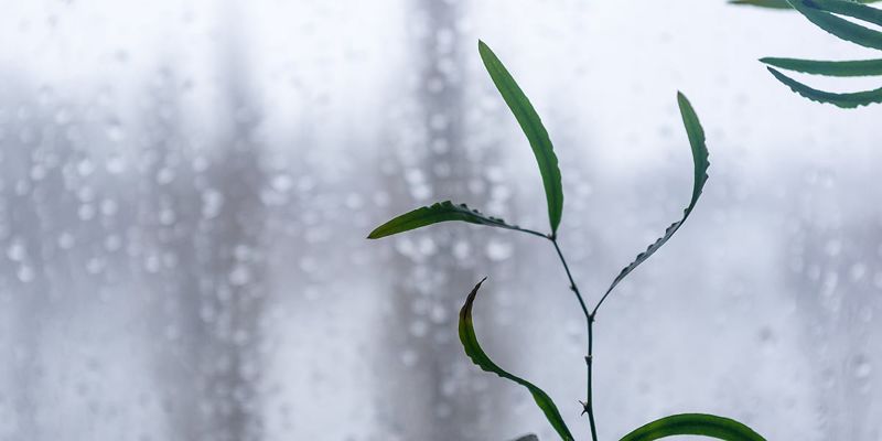 Pojava kondenza na prozorima ne ukazuje uvijek na prekomjernu vlagu u domu